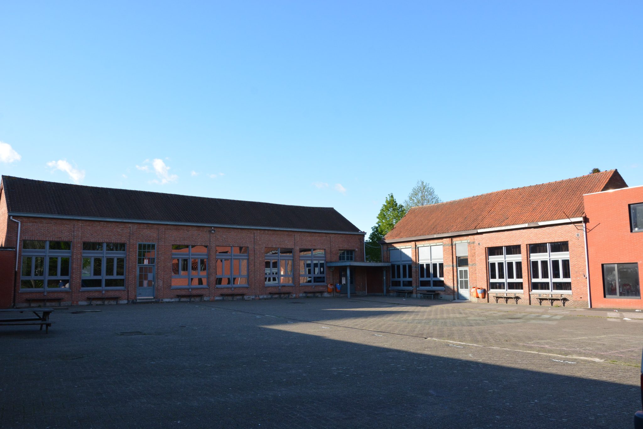 Buitenzicht koer